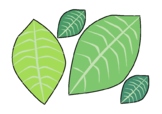 Printable Leaf template Color, No Color, Only Outline for 