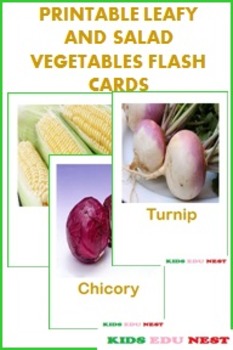 Preview of Printable Leafy and Salad Vegetables Flash Cards