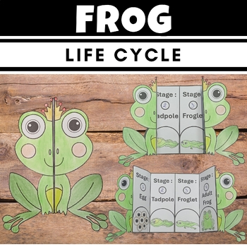 Life Cycle of a Frog : Fun Cut and Paste Foldable Sequencing craft # ...