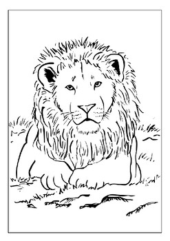 Lion Sketchbook for Kids ages 4-8 Blank Paper for Drawing.