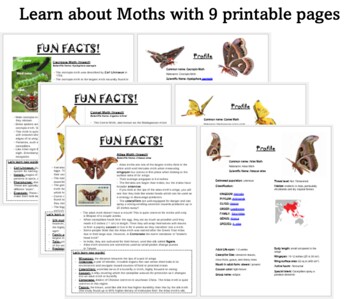 Preview of Printable Moth Lesson Plan for the Atlas, Comet and Cecropia moths. Biology