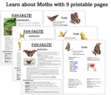 Printable Moth Lesson Plan for the Atlas, Comet and Cecrop