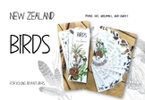 Printable, New Zealand bird field book for young adventurers.