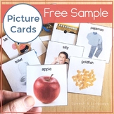 Printable Picture Cards Free Autism Photo Card Visuals Special Education Speech