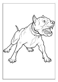 pitbull coloring sheets