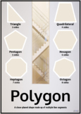 Printable Polygon Shapes Poster