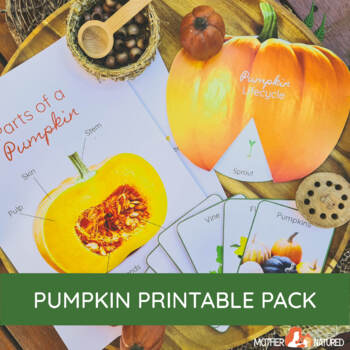 Preview of Printable Pumpkin Pack | PUMPKIN LIFE CYCLE | Pumpkin printables