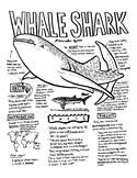 Printable Science Themed Whale Shark Sketch Notes