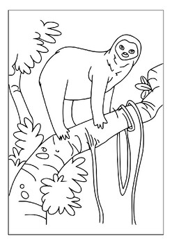 Sloth Activity Book For Kids: Large Sloth Activity Book For Kids Ages 4-8  8-12 with Coloring, Dot to Dot & Trace the Drawing Pages for Children - Cu  (Paperback)