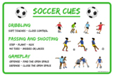 Printable Soccer Unit Skill Cues Poster for PE Class