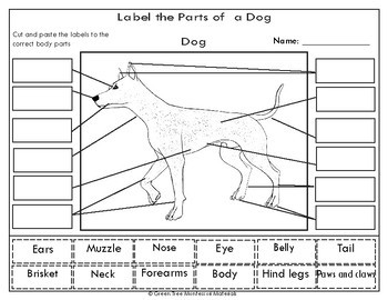 Printables: Dog ~ Label the Parts of a Dog by Green Tree Montessori