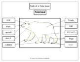 Printables: Label the Parts of a Polar Bear