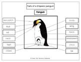 Printables: Label the Parts of the Emperor Penguin