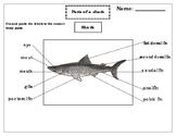 Printables: Label the parts of a Shark