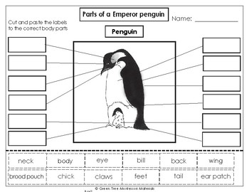 Printables: Label the Parts of the Emperor Penguin | TpT