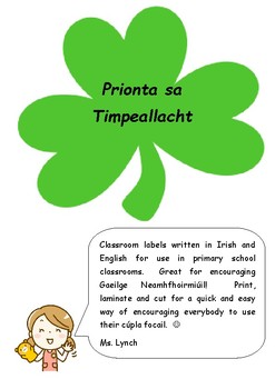 Preview of Prionta sa Timpeallacht - Classroom Labels (Gaeilge/Irish and English)