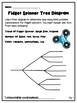 Probability Tree Diagram Worksheets by Highs and Lows of a Teacher