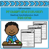 Differentiated Problem and Solution Reading Comprehension Pack - Set One