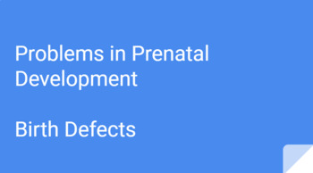 Preview of Problems in Prenatal Development/Birth Defects Google Slides Presentation