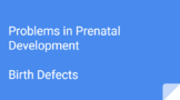 Problems in Prenatal Development/Birth Defects Google Slid