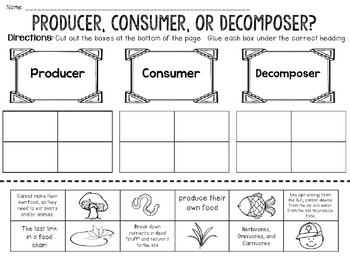 Producer Consumer Decomposer Activity BUNDLE by JH Lesson Design