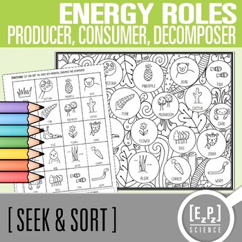 Preview of Producer Consumer & Decomposer Card Sort Activity | Seek and Sort Science Doodle