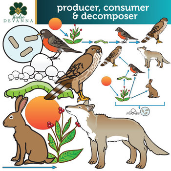 consumers food chain clipart