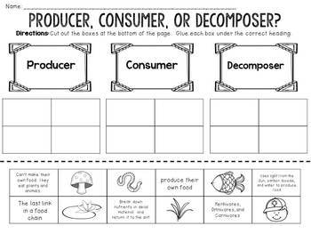 Producer Consumer Decomposer Cut and Paste by JH Lesson Design | TpT