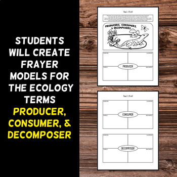 Producer, Consumer, Decomposer Foldable - Great for Interactive Notebooks