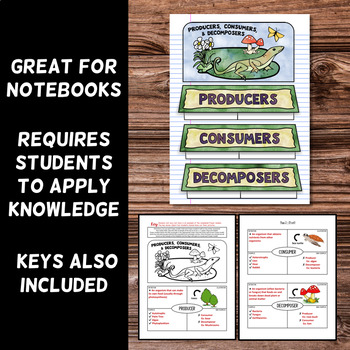 Producer, Consumer, Decomposer Foldable - Great for Interactive Notebooks