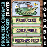 Producer, Consumer, Decomposer Foldable - Great for Intera