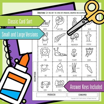 Producer, Consumer and Decomposer Seek and Sort Science Doodle & Card Sort