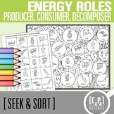 Producer, Consumer & Decomposer Seek and Sort Science Dood