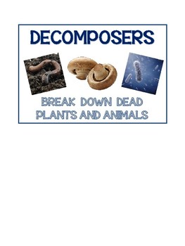 Producer, Consumer and Decomposer Anchor Charts by Miss Harmon's Resources