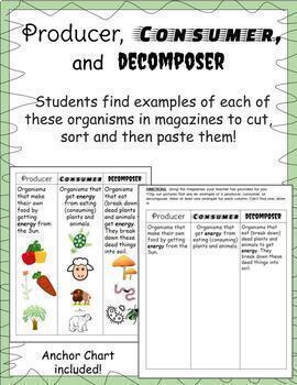 Producer, Consumer, and Decomposers Anchor Chart with Find and Paste