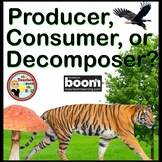 Producer, Consumer, or Decomposer? Boom Ecosystem Energy F