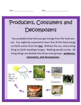 Producers, Consumers & Decomposers BUNDLE -Science by Cammie's Corner