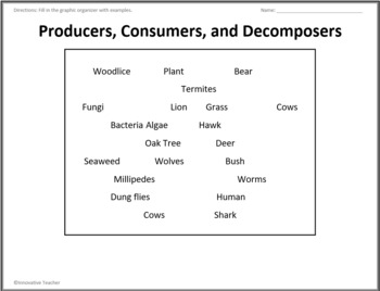 Producers, Consumers, Decomposers Graphic Organizer by Innovative Teacher