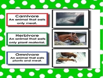 Producers, Consumers & Decomposers POWERPOINT WITH NOTES by Cammie's Corner