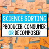 Producers, Consumers, & Decomposers Science Sort | Food Ch