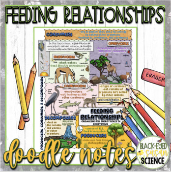 Preview of Producers, Consumers, & Decomposers (Feeding Relationships) Doodle Notes & Quiz