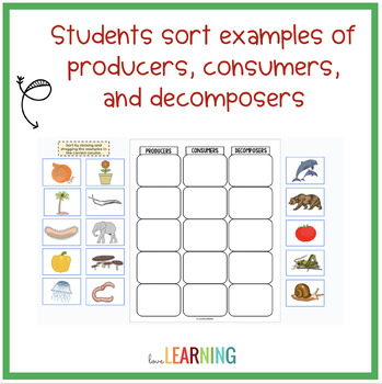 Producers, Consumers, and Decomposers SORT Activity by Love Learning