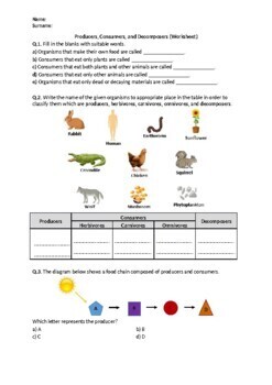 Preview of Producers, Consumers, and Decomposers - Worksheet | Printable, Distance Learning