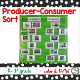Producers and Consumers Sorting Cards Activity Kindergarte