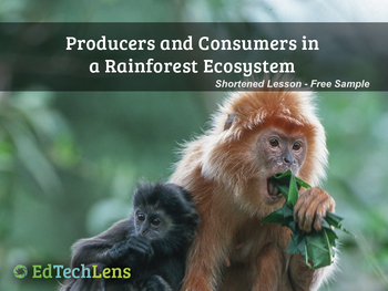 Preview of Producers and Consumers in a Rainforest Ecosystem PDF - Free Sample