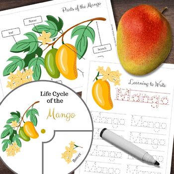 Preview of Montessori-Inspired MANGO Fruit Tree | Life Cycle, Anatomy & Tracing