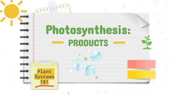Preview of Products of Photosynthesis - Animated MS PowerPoint Lesson