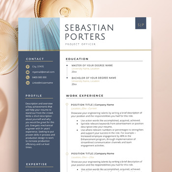 Preview of Professional CV Format, Principal Resume Template, Curriculum Vitae UK