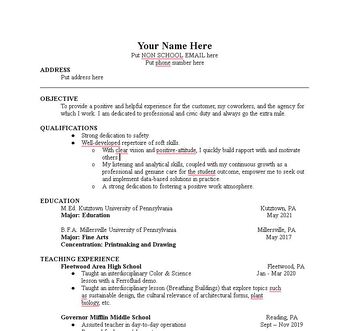 Professional Edge: Resume Template for Students Seeking Employment