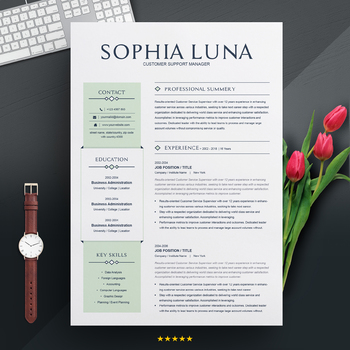 Preview of Professional, Modern Resume Design Template for Word & Pages | 3 Pages CV
